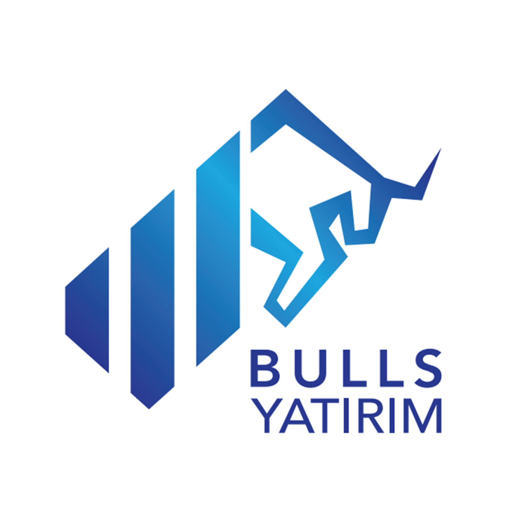 Bulls Yatırım logosu